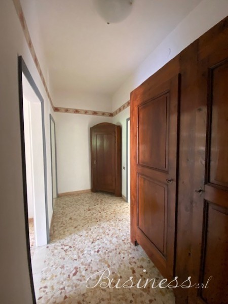 Immagine 11