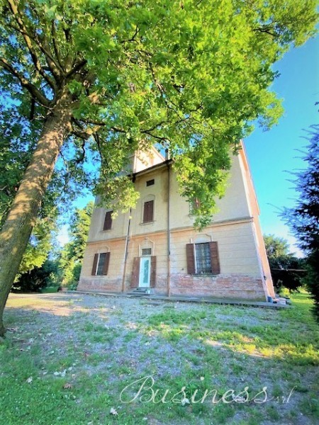Immagine 2