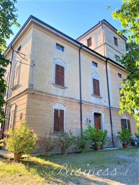 Immagine 4
