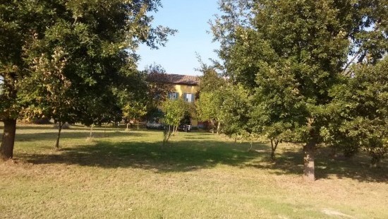 Porzione di casa in venditaBomporto