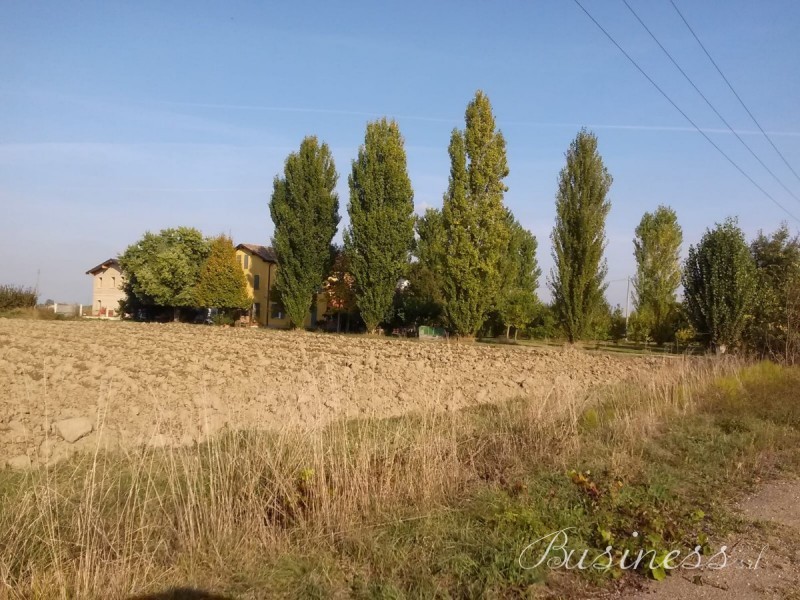 Immagine 2